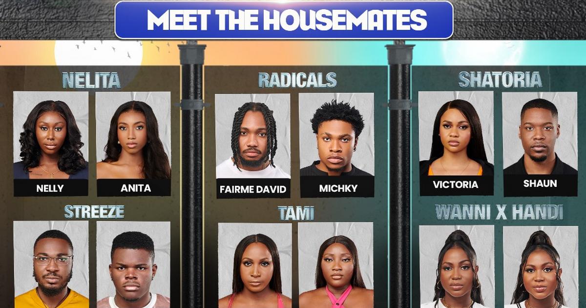 BBNaija No Lose Guard housemates of Season 9