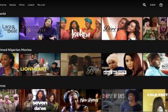 ‘We will continue to invest in Nigerian stories’- Netflix debunks rumour [Exclusive]