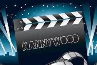 Kano censorship board halts 22 Hausa film series over regulatory breach