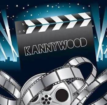 Kano censorship board halts 22 Hausa film series over regulatory breach