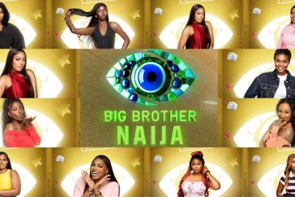 Meet BBNaija10 housemates, including single mothers, lawyers